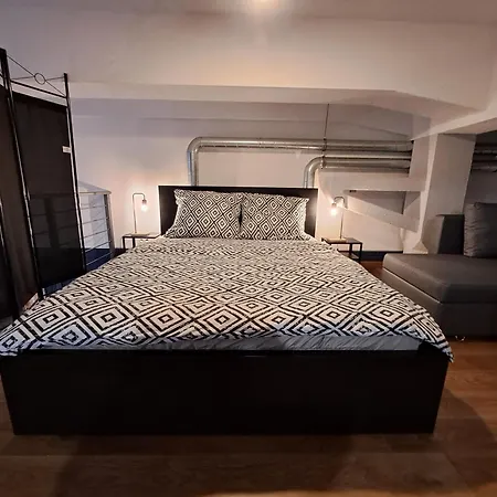 Redcity Loft 430 Apartment Zyrardow